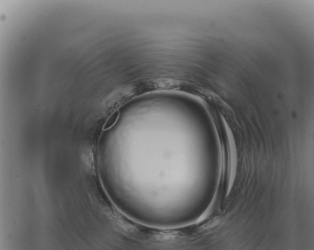 X0000062860523200601201732