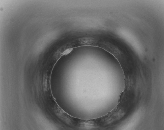 X0000062860525200601201732