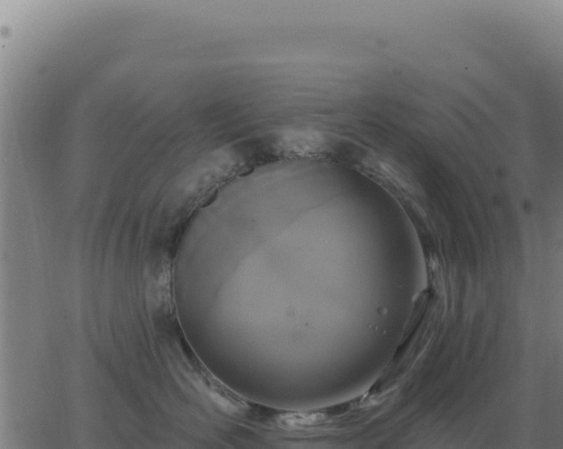 X0000062860526200601201732