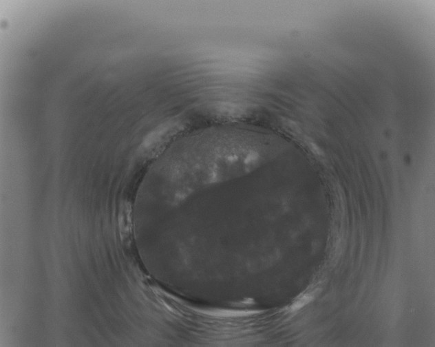 X0000062860528200601201732