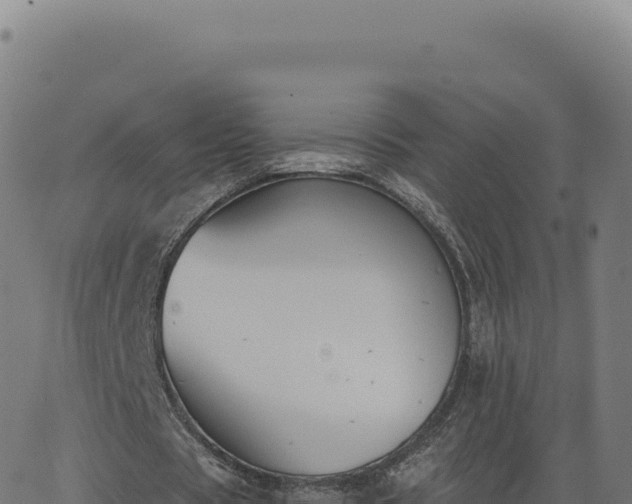 X0000062860529200601201731