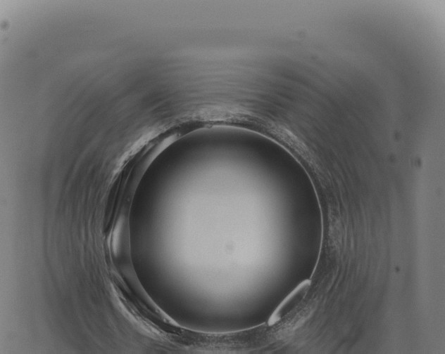 X0000062860530200601201731