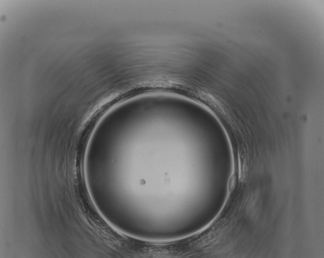 X0000062860531200601201731