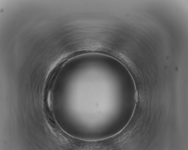 X0000062860532200601201731