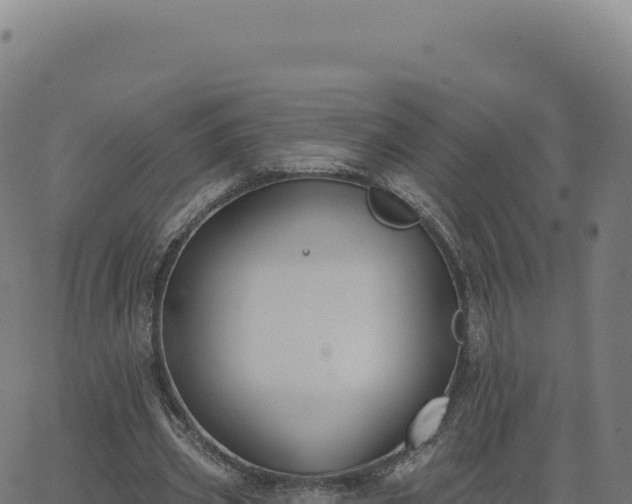 X0000062860533200601201731