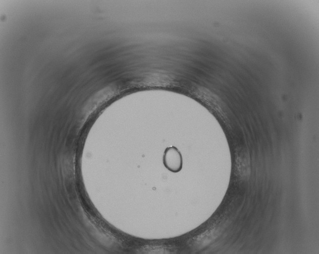 X0000062860534200601201731