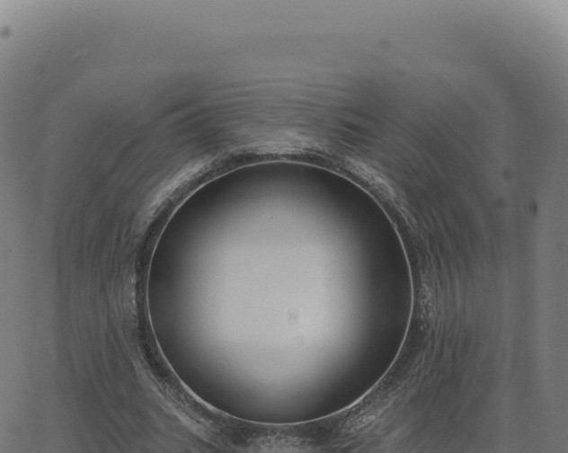 X0000062860535200601201731