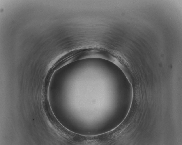 X0000062860536200601201731