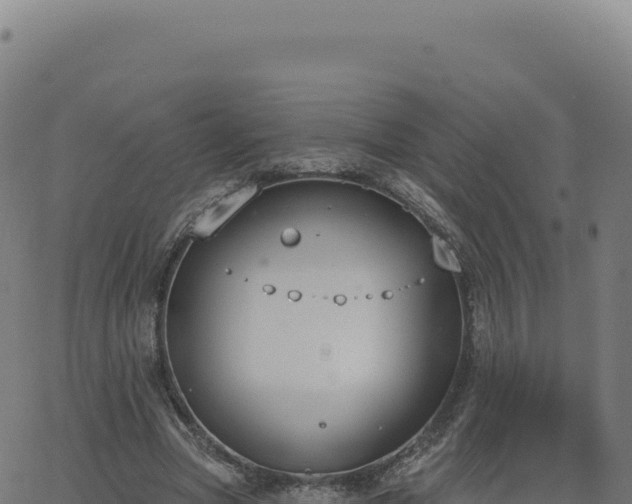 X0000062860537200601201731