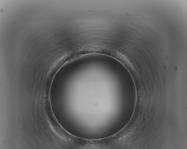 X0000062860538200601201731