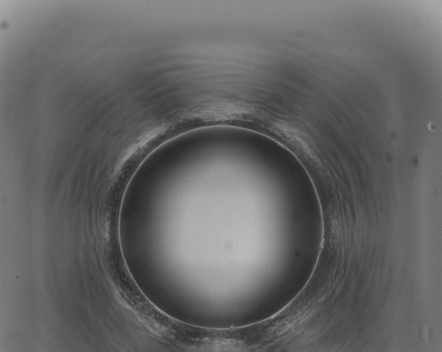 X0000062860539200601201731