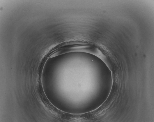 X0000062860540200601201731