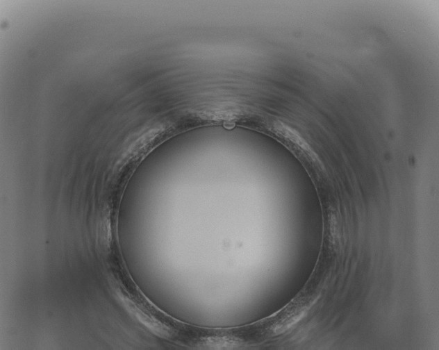 X0000062860541200601201731