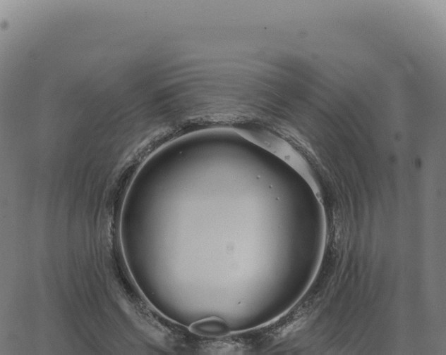 X0000062860542200601201731