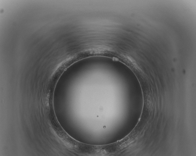 X0000062860543200601201731