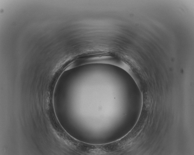 X0000062860544200601201731