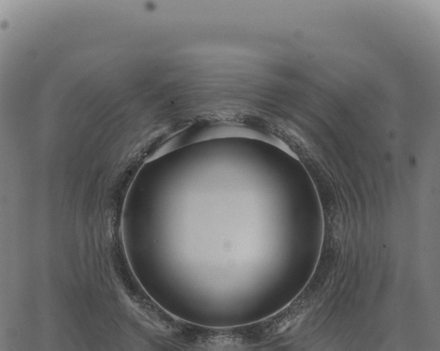 X0000062860546200601201731