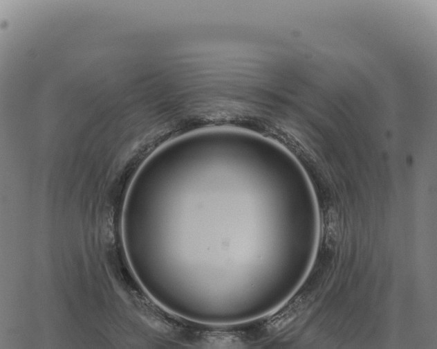 X0000062860547200601201731