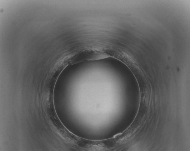 X0000062860548200601201731