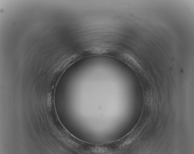 X0000062860549200601201731