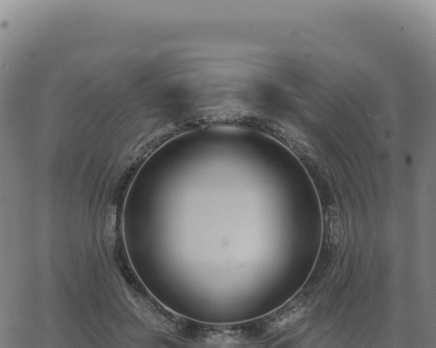 X0000062860550200601201731