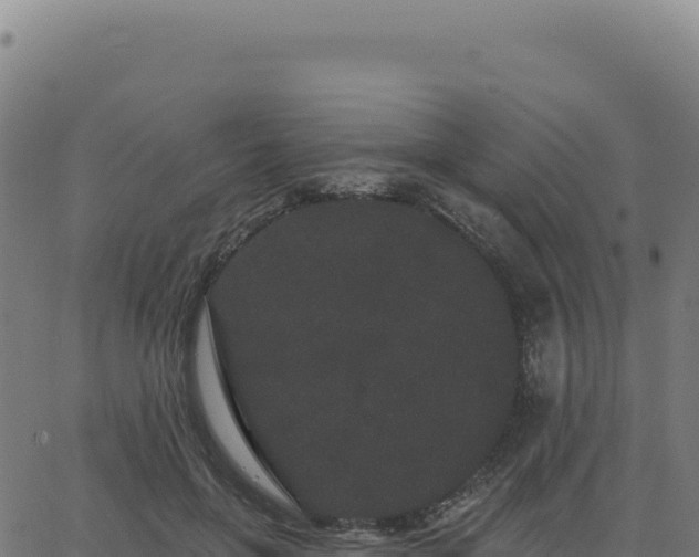 X0000062860551200601201731