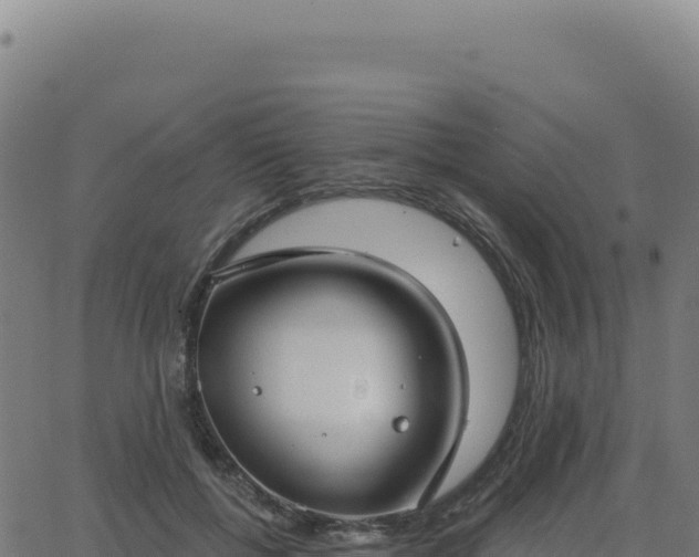 X0000062860552200601201731