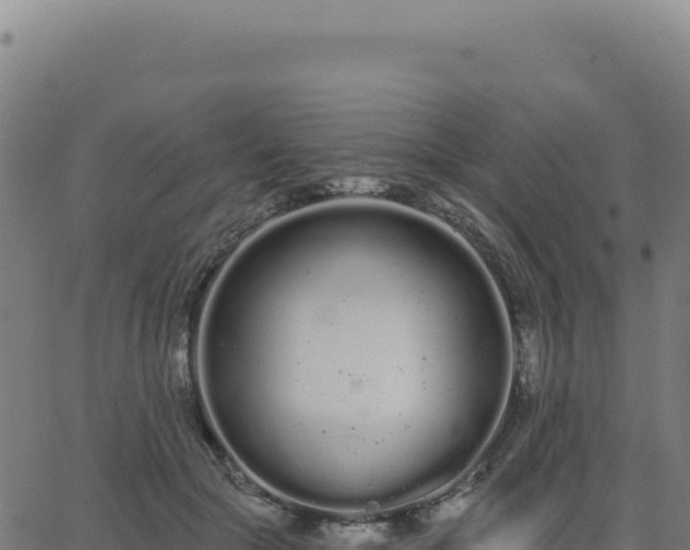 X0000062860553200601201731