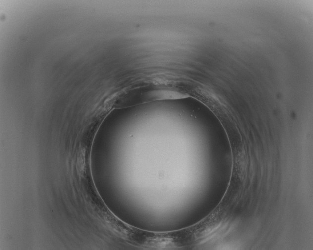 X0000062860554200601201731