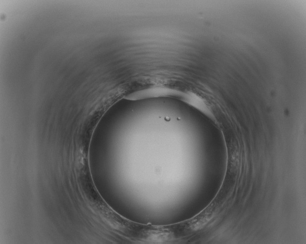 X0000062860555200601201731