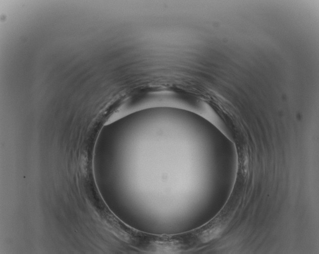 X0000062860556200601201731