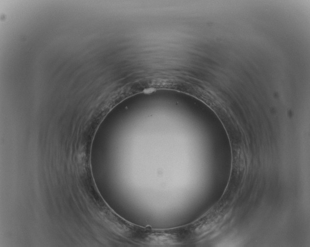 X0000062860557200601201731