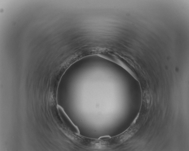 X0000062860564200601201732