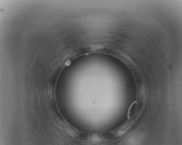 X0000062860565200601201732