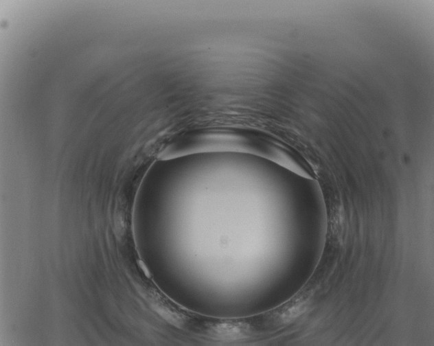 X0000062860566200601201732