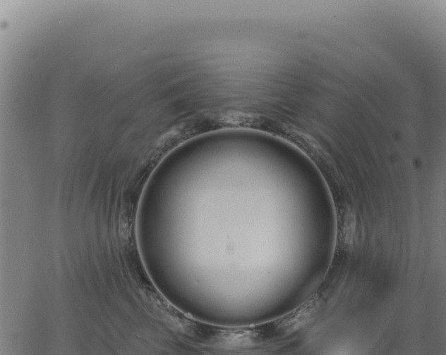 X0000062860569200601201732