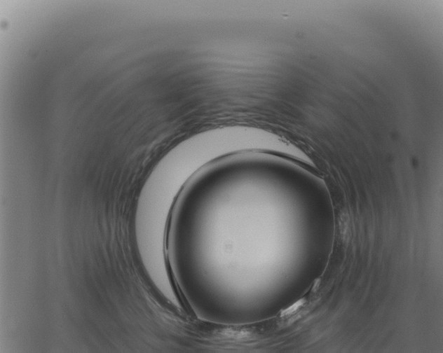 X0000062860570200601201732