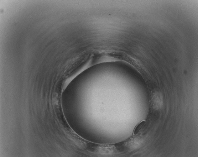 X0000062860571200601201732