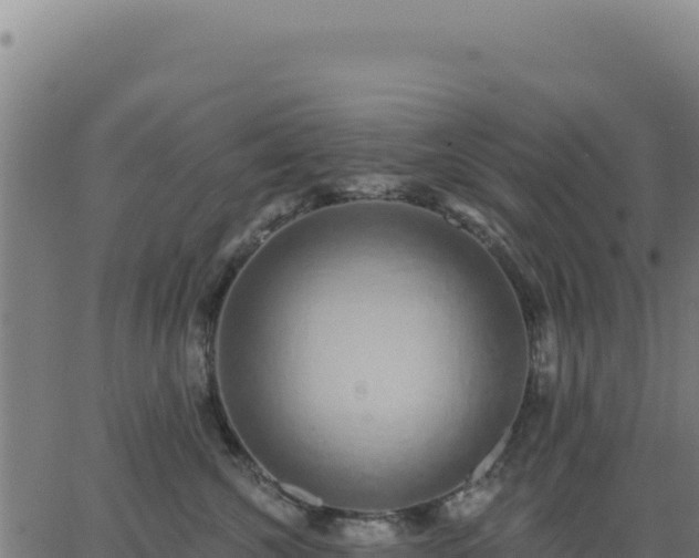 X0000062860572200601201732