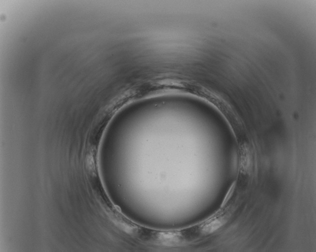 X0000062860573200601201732