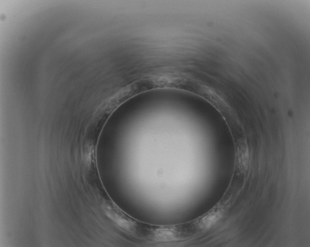 X0000062860574200601201732