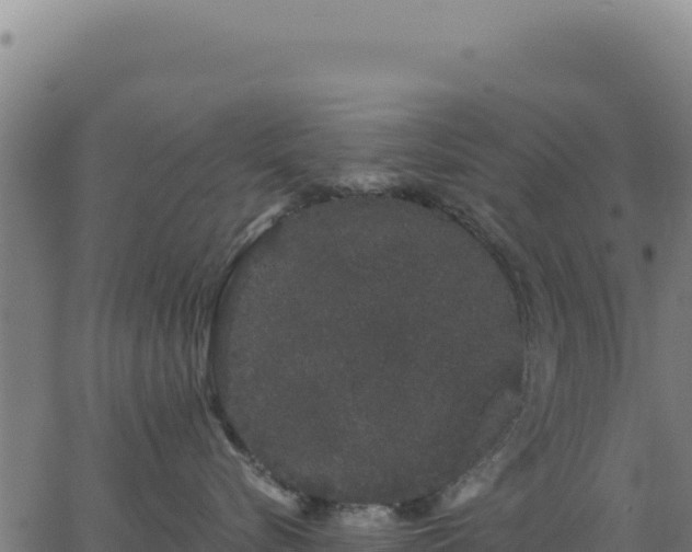 X0000062860576200601201732