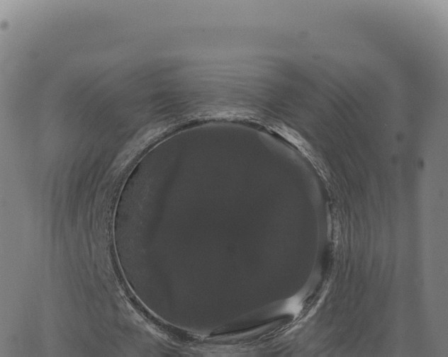 X0000062860577200601201731