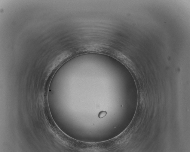 X0000062860578200601201731