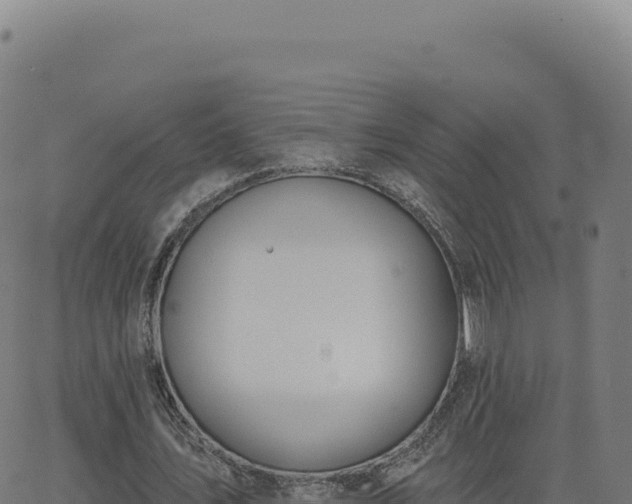 X0000062860579200601201731