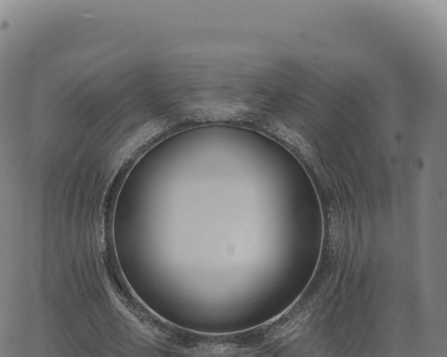 X0000062860582200601201731