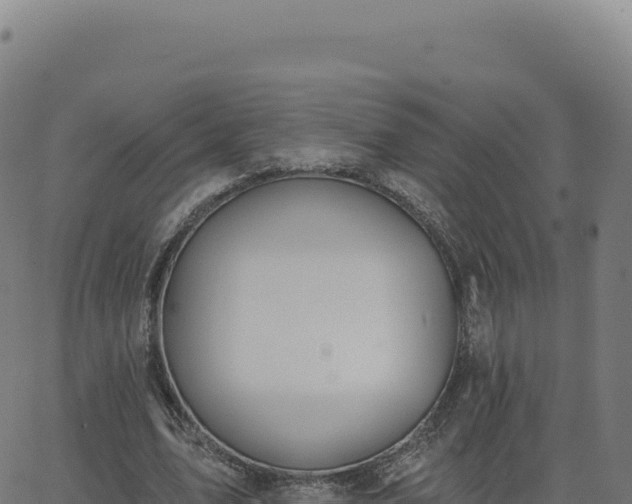 X0000062860583200601201731