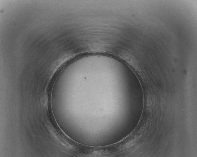 X0000062860584200601201731