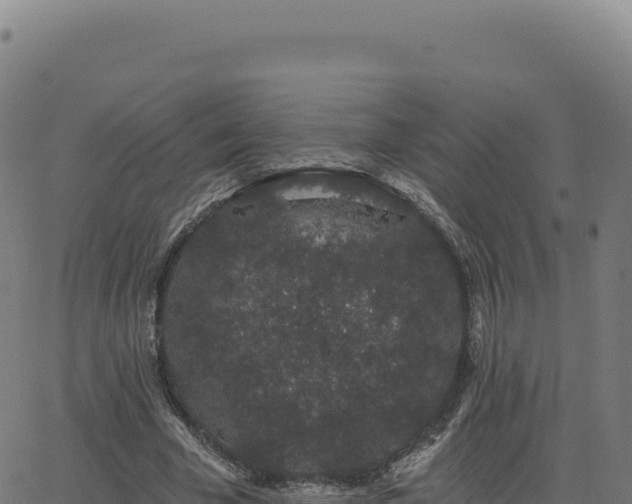 X0000062860585200601201731