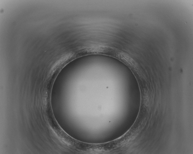 X0000062860586200601201731